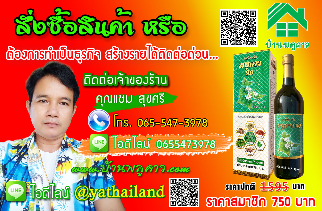 พลูคาว 90