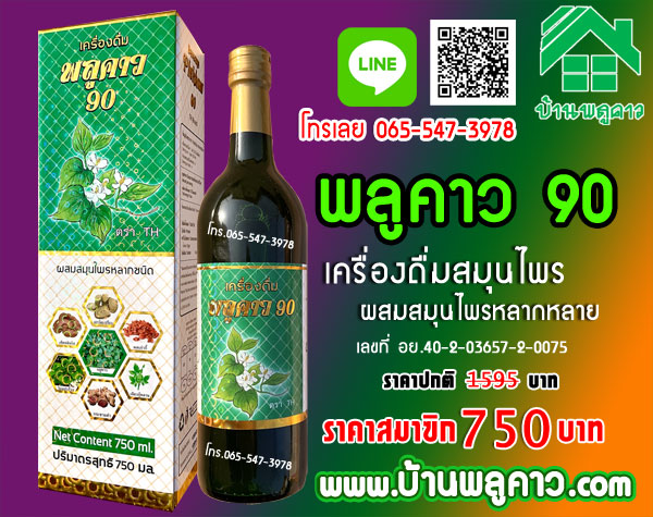 เครื่องดื่ม พลูคาว 90