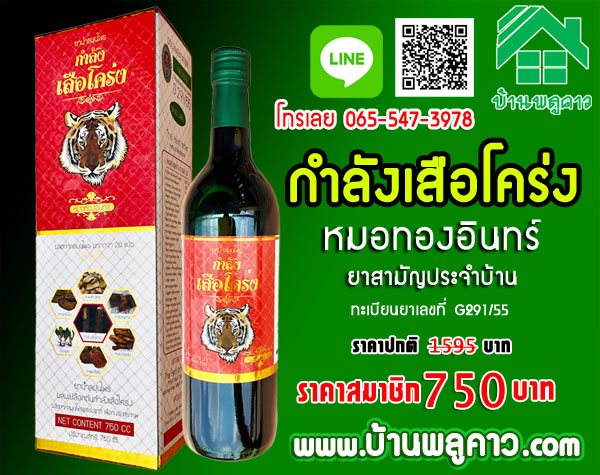 ยาน้ำสมุนไพรกำลังเสือโคร่ง