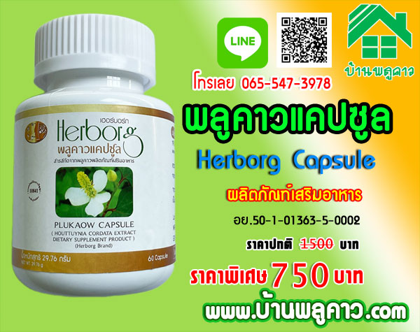 พลูคาวแคปซูล เฮอร์บอร์ก